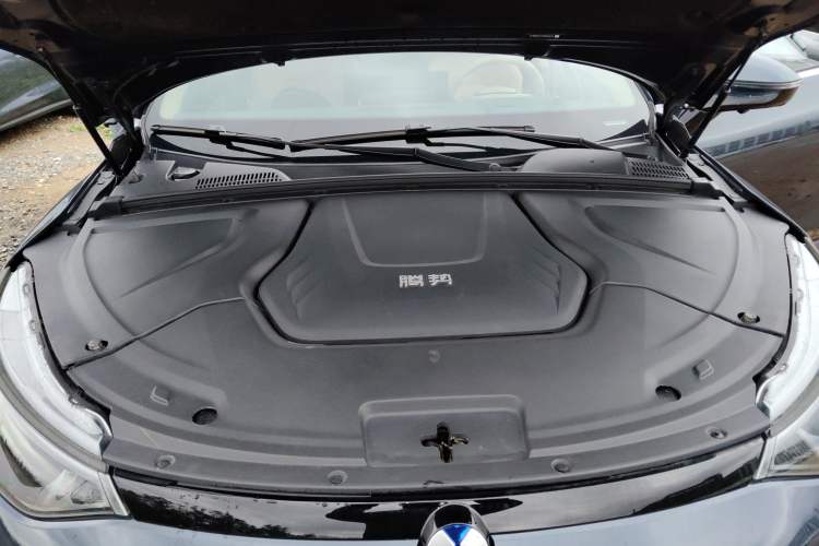 Used Denza N8 2023 Four-Wheel Drive Ultra-Hybrid Flagship Seven-Seater Version Engine Bay