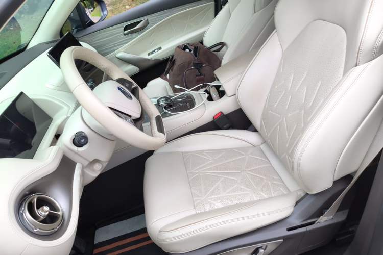 Used Denza N8 2023 Four-Wheel Drive Ultra-Hybrid Flagship Six-Seater Version Left Front Seat