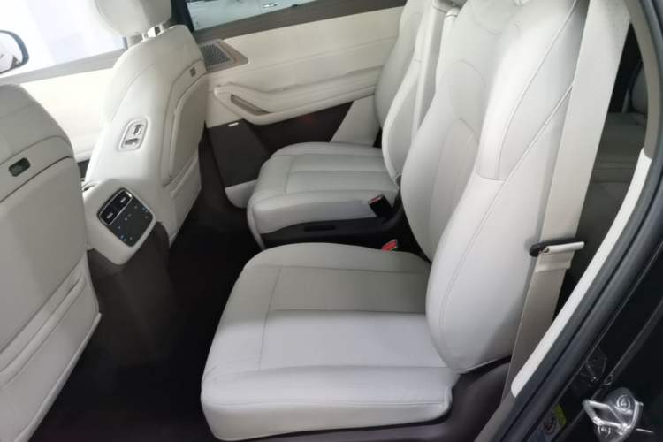 Used Denza N8L 2025 Model Flagship Model Left Rear Seat