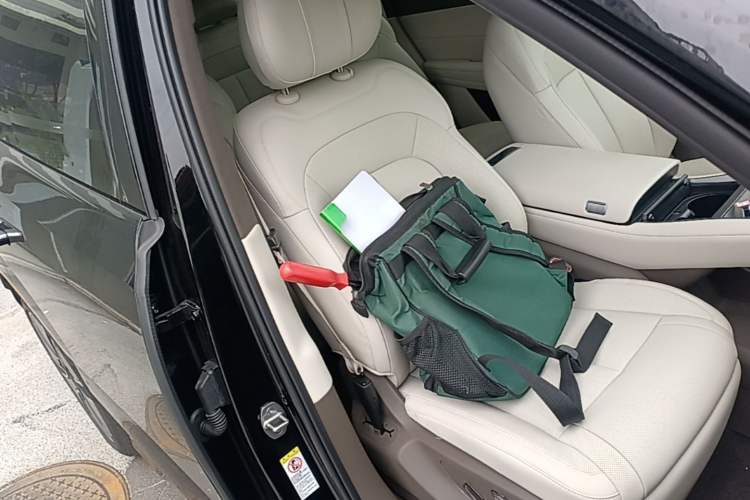 Used Denza N8L 2025 Model Flagship Model Right Front Seat