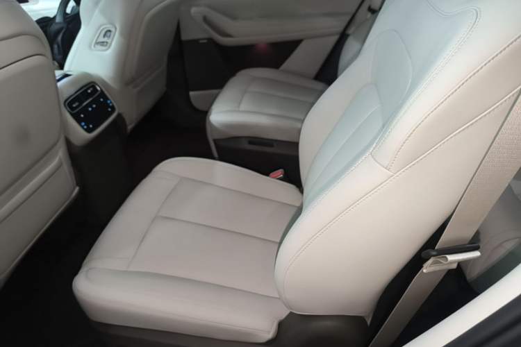 Used Denza N8L 2025 Model Flagship Model Left Rear Seat