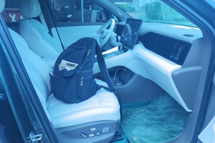 Used Denza N8L 2025 Model Flagship Model Right Front Seat
