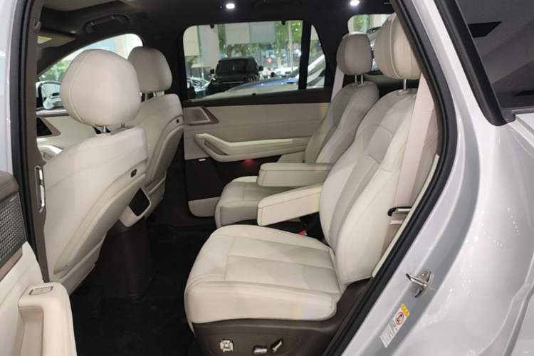 Used Denza N8L 2025 Model Flagship Model Left Rear Seat