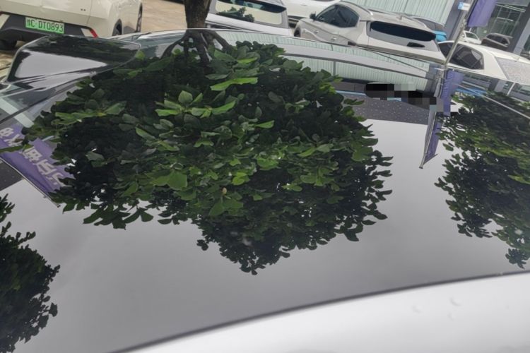 Used Denza N8L 2025 Model Flagship Model Roof