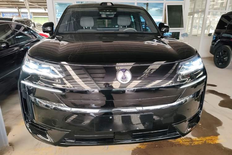Used Denza N9 2025 Prestige Version Front