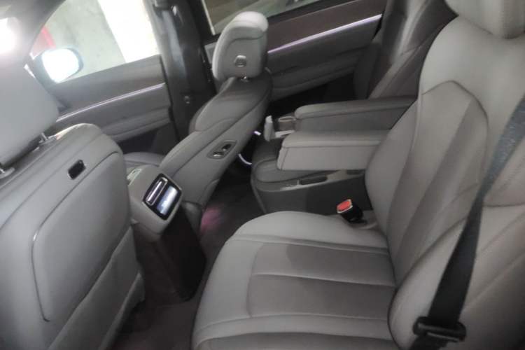 Used Denza N9 2025 Flagship Model Left Rear Seat