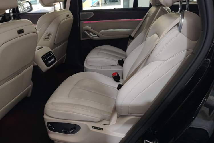 Used Denza N9 2025 Prestige Version Left Rear Seat