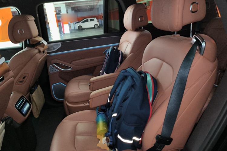 Used Denza N9 2025 Flagship Model Left Rear Seat