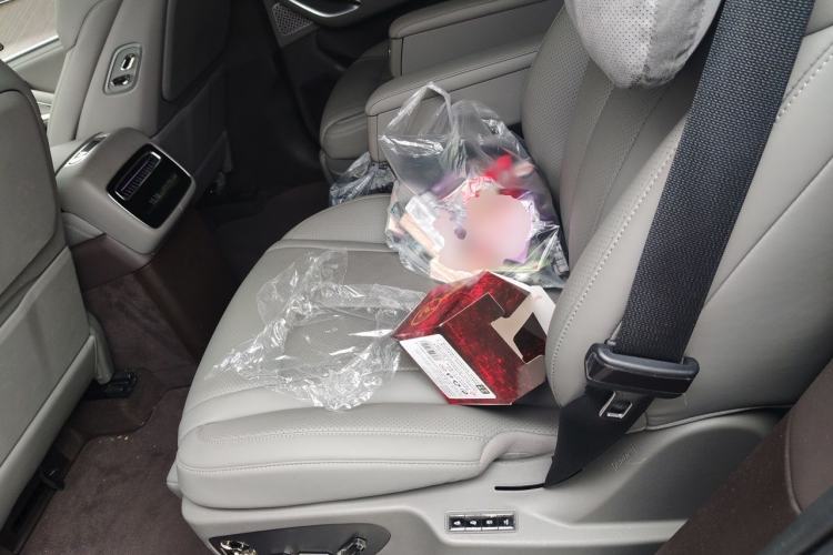 Used Denza N9 2025 Flagship Model Left Rear Seat