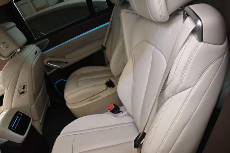 Used Denza N9 2025 Flagship Model Left Rear Seat