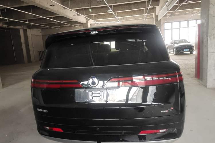 Used Denza N9 2025 Flagship Model Rear