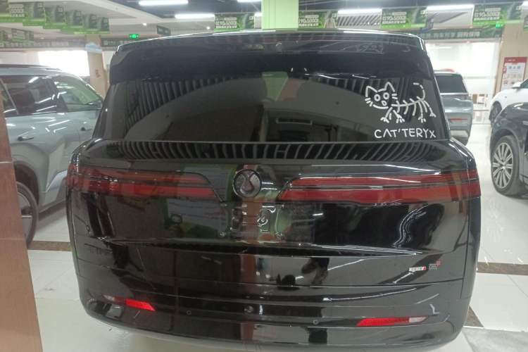 Used Denza N9 2025 Flagship Model Rear