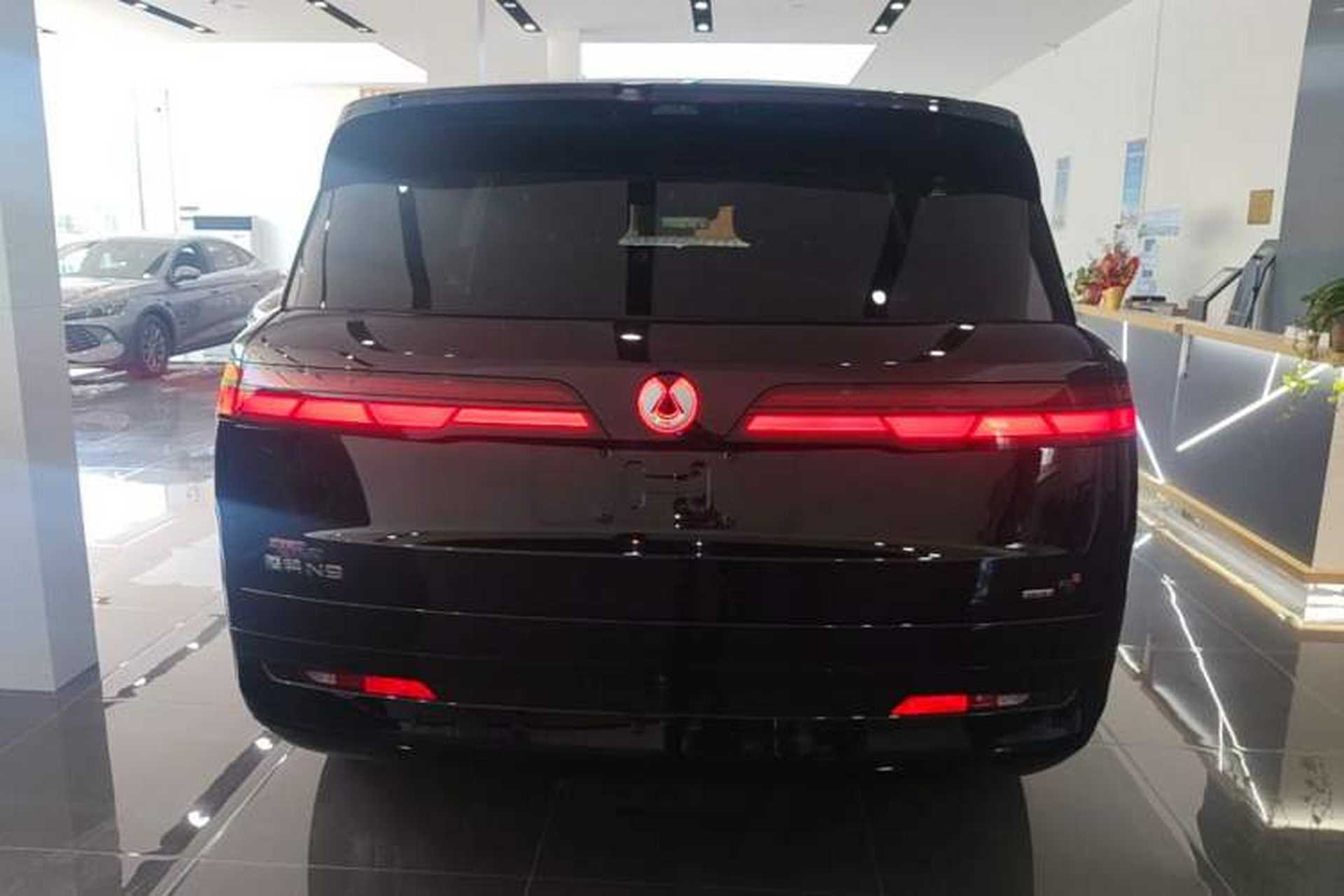 Used Denza N9 2025 Flagship Model Rear