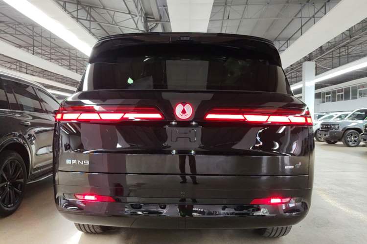 Used Denza N9 2025 Flagship Model Rear
