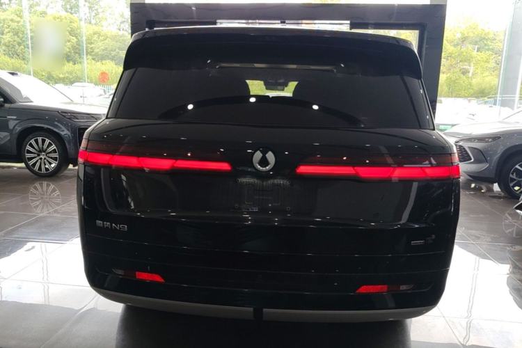 Used Denza N9 2025 Flagship Model Rear