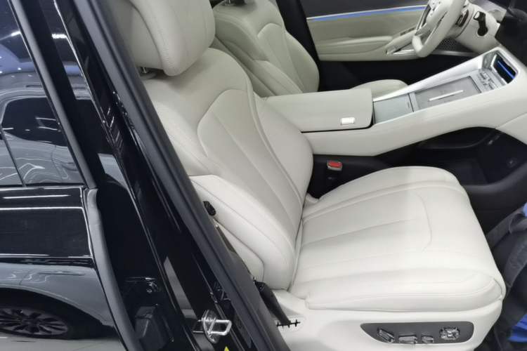 Used Denza N9 2025 Prestige Version Right Front Seat