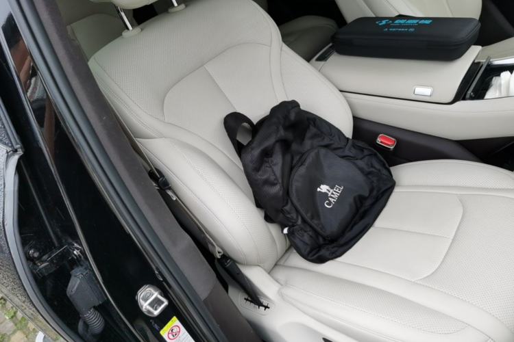 Used Denza N9 2025 Flagship Model Right Front Seat