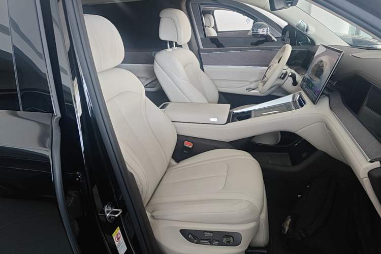 Used Denza N9 2025 Flagship Model Right Front Seat