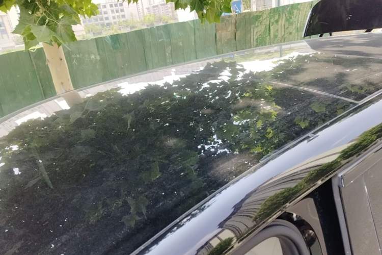 Used Denza N9 2025 Prestige Version Roof