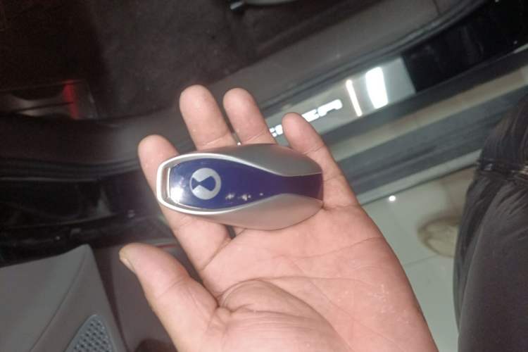 Used Denza N9 2025 Flagship Model Vehicle Key