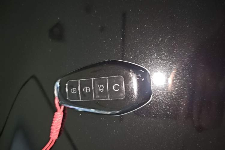 Used Denza N9 2025 Prestige Version Vehicle Key