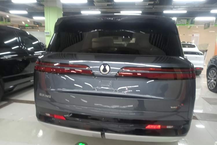Used Denza N9 2025 Flagship Model Rear