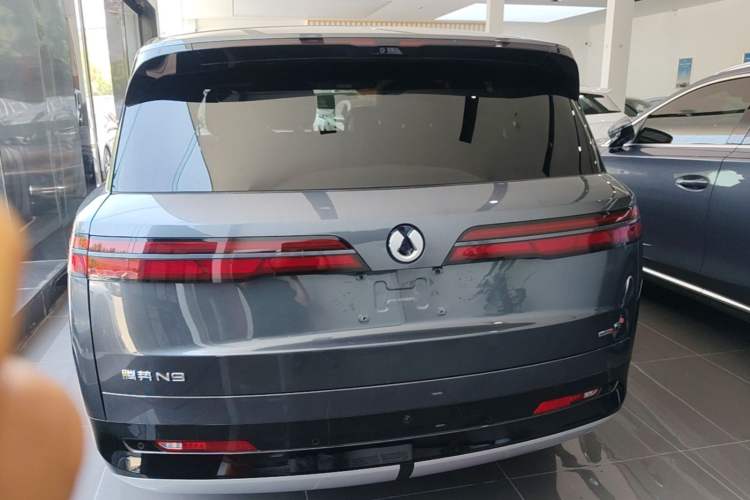 Used Denza N9 2025 Flagship Model Rear