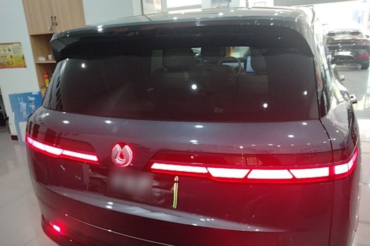 Used Denza N9 2025 Flagship Model Rear