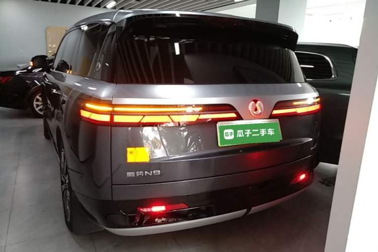 Used Denza N9 2025 Flagship Model Rear
