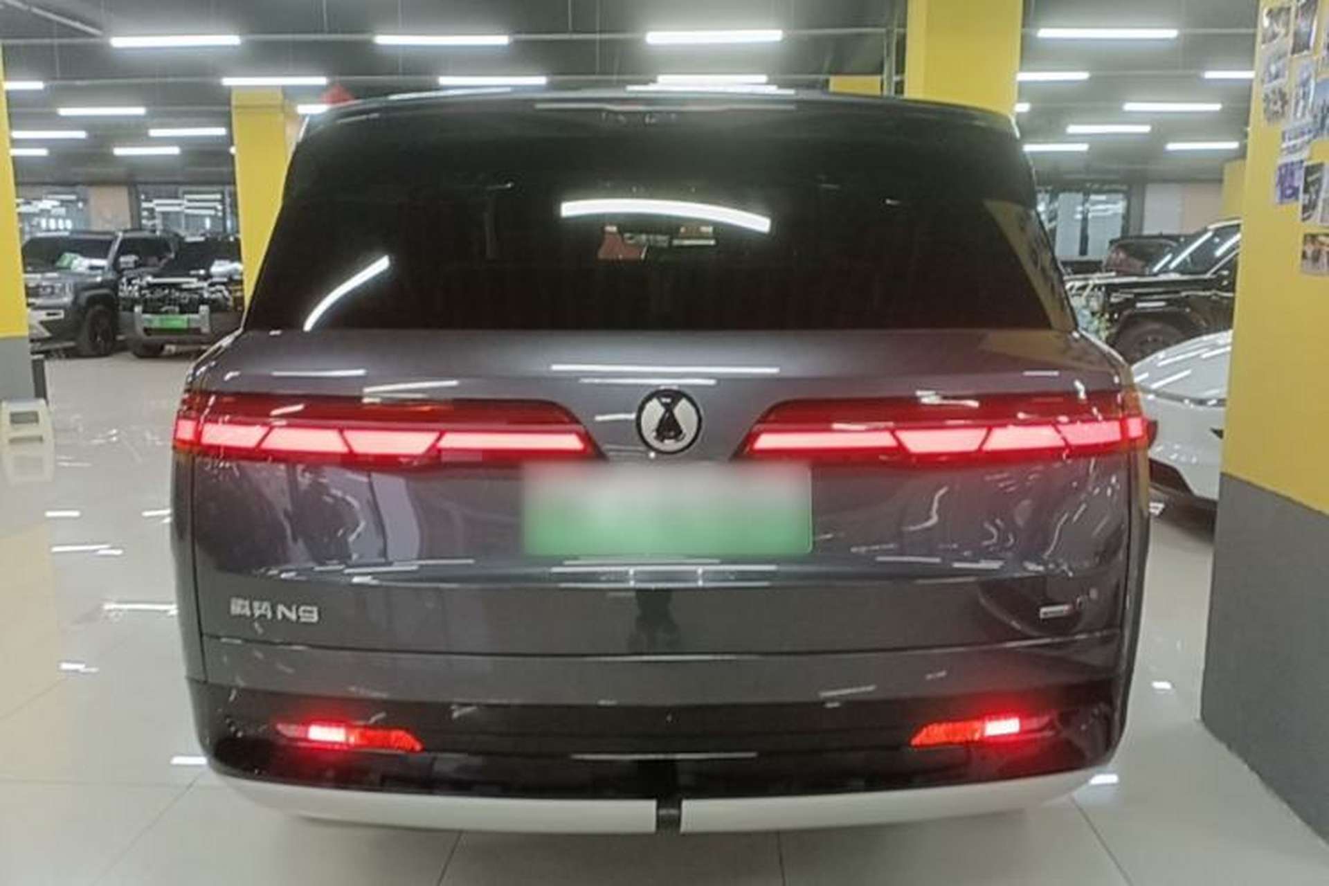 Used Denza N9 2025 Flagship Model Rear