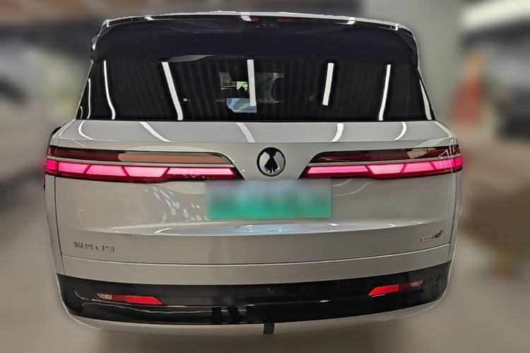 Used Denza N9 2025 Flagship Model Rear