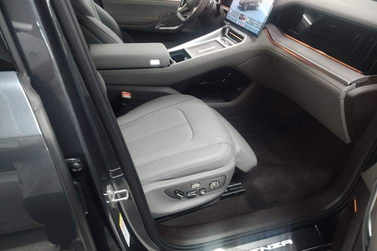 Used Denza N9 2025 Flagship Model Right Front Seat
