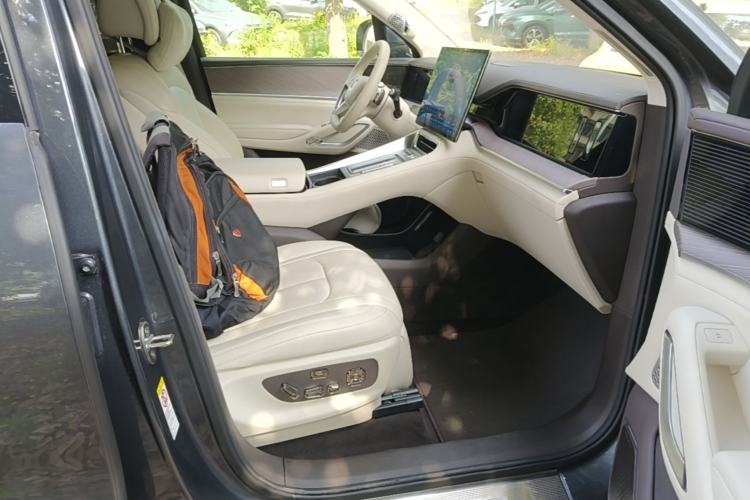 Used Denza N9 2025 Flagship Model Right Front Seat