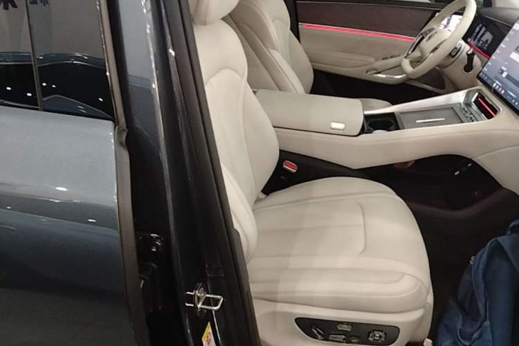 Used Denza N9 2025 Flagship Model Right Front Seat