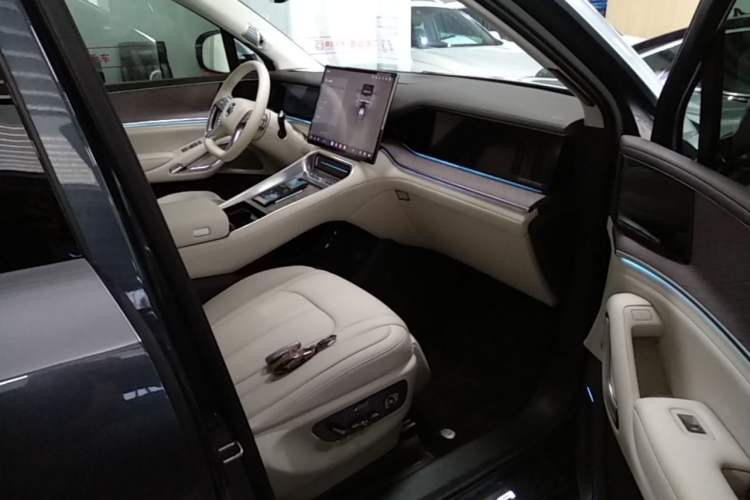 Used Denza N9 2025 Flagship Model Right Front Seat