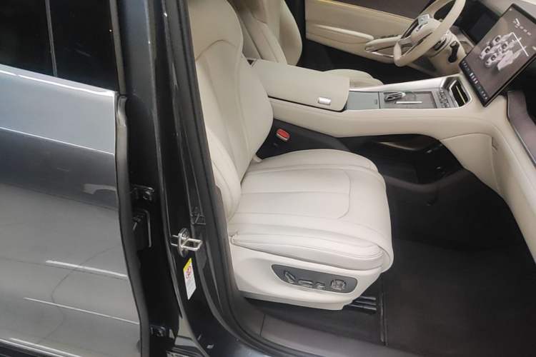 Used Denza N9 2025 Prestige Version Right Front Seat