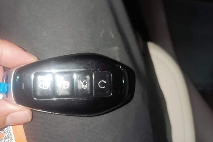 Used Denza N9 2025 Flagship Model Vehicle Key