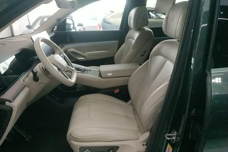 Used Denza N9 2025 Flagship Model Left Front Seat