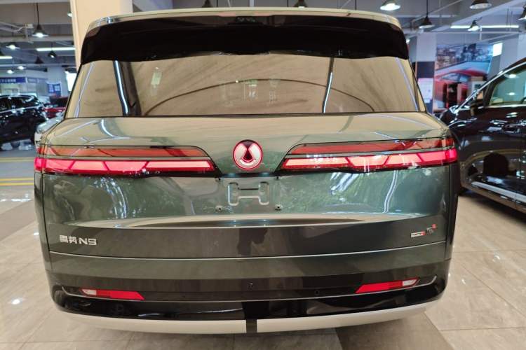 Used Denza N9 2025 Flagship Model Rear