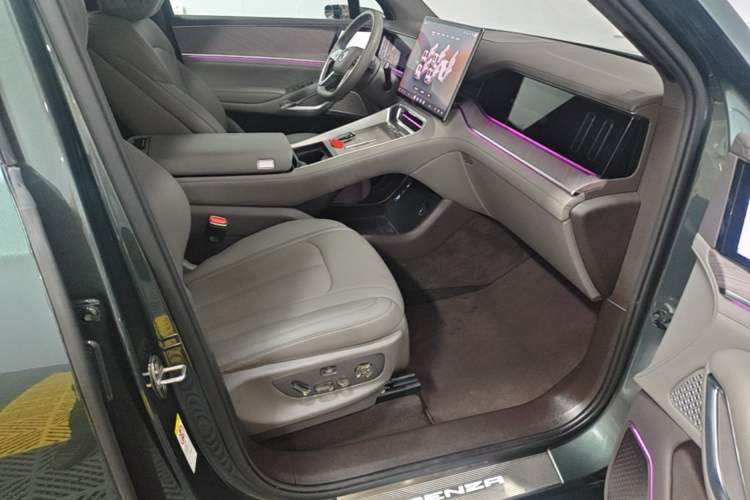 Used Denza N9 2025 Flagship Model Right Front Seat