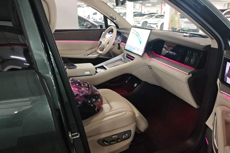 Used Denza N9 2025 Flagship Model Right Front Seat