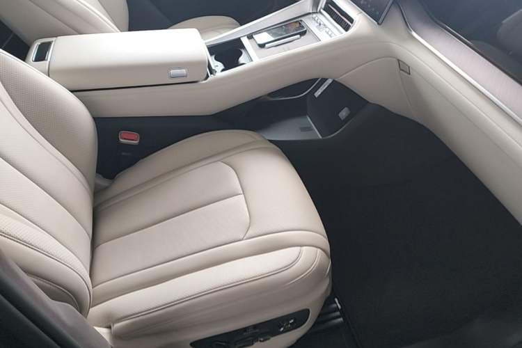 Used Denza N9 2025 Flagship Model Right Front Seat