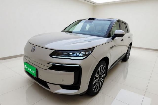 Used Denza N9 2025 Prestige Version