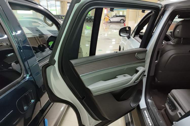Used Denza N9 2025 Prestige Version Left Rear Door Interior