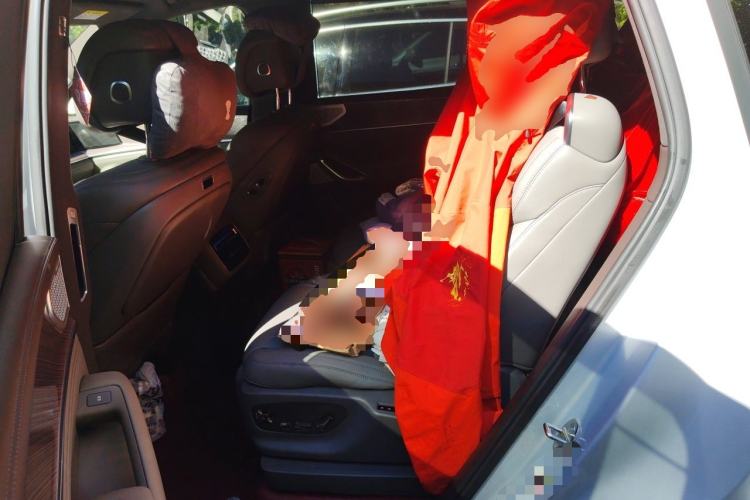 Used Denza N9 2025 Flagship Model Left Rear Seat