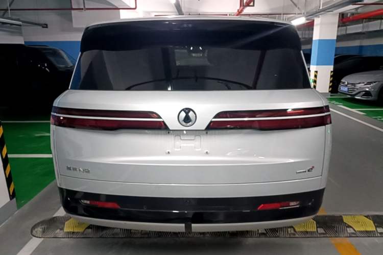 Used Denza N9 2025 Flagship Model Rear