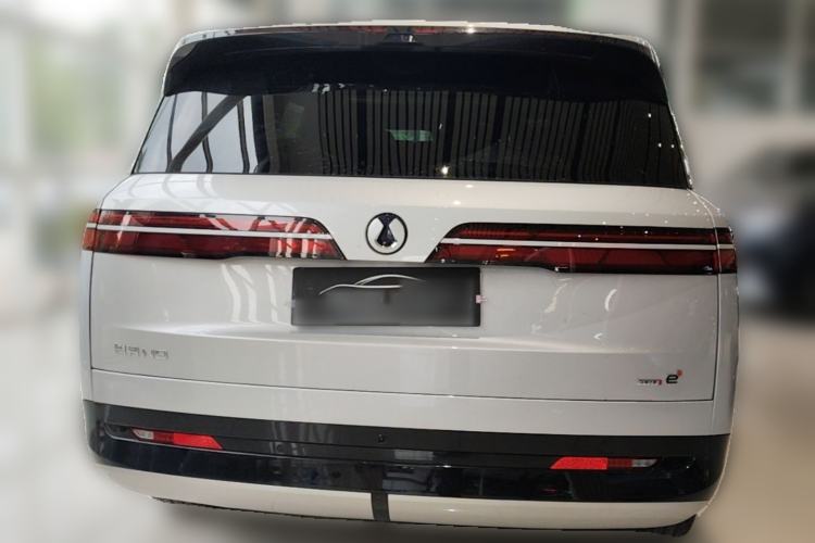 Used Denza N9 2025 Flagship Model Rear