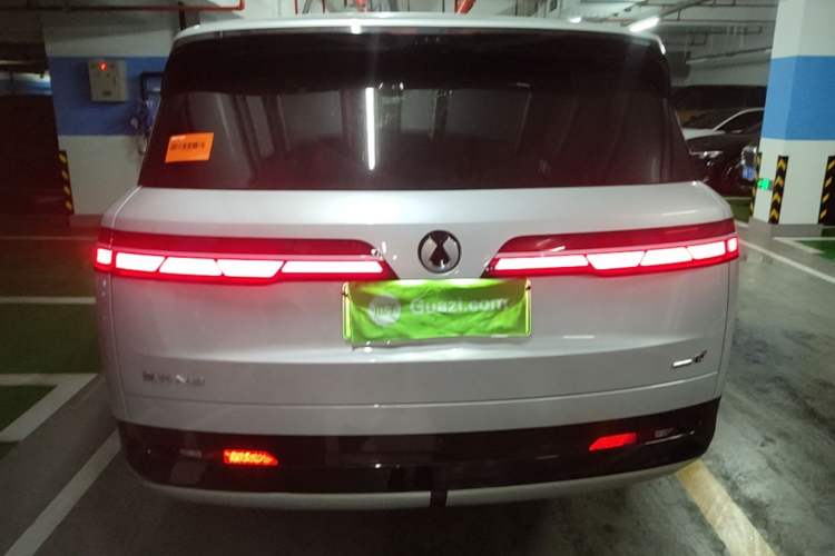 Used Denza N9 2025 Flagship Model Rear