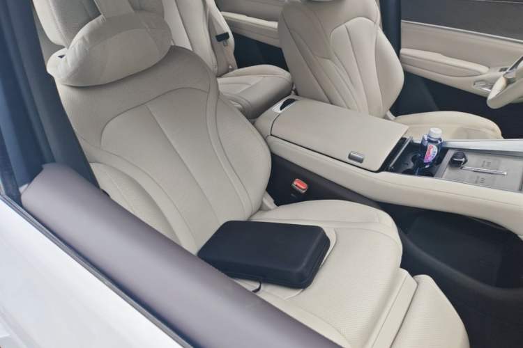 Used Denza N9 2025 Flagship Model Right Front Seat