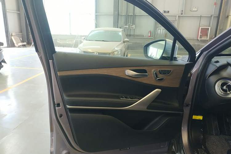 Used Denza X 2020 PHEV Flagship Edition Left Front Door Interior